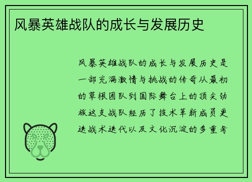 风暴英雄战队的成长与发展历史